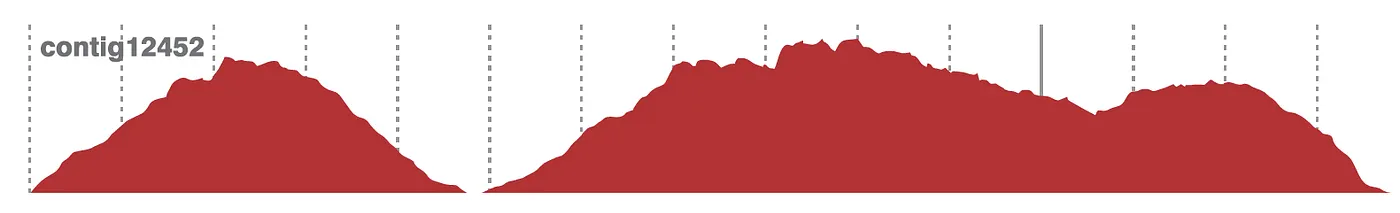 Physical coverage drop over a chimeric contig