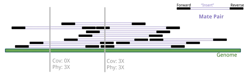 Sequence coverage and physical coverage