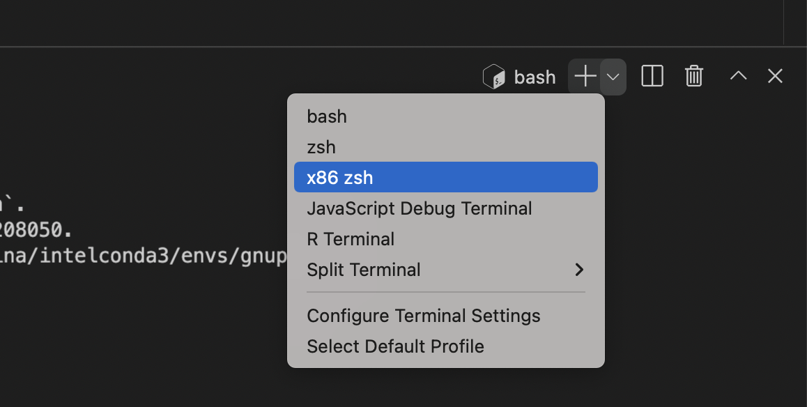 screenshot of VS Code terminal menu