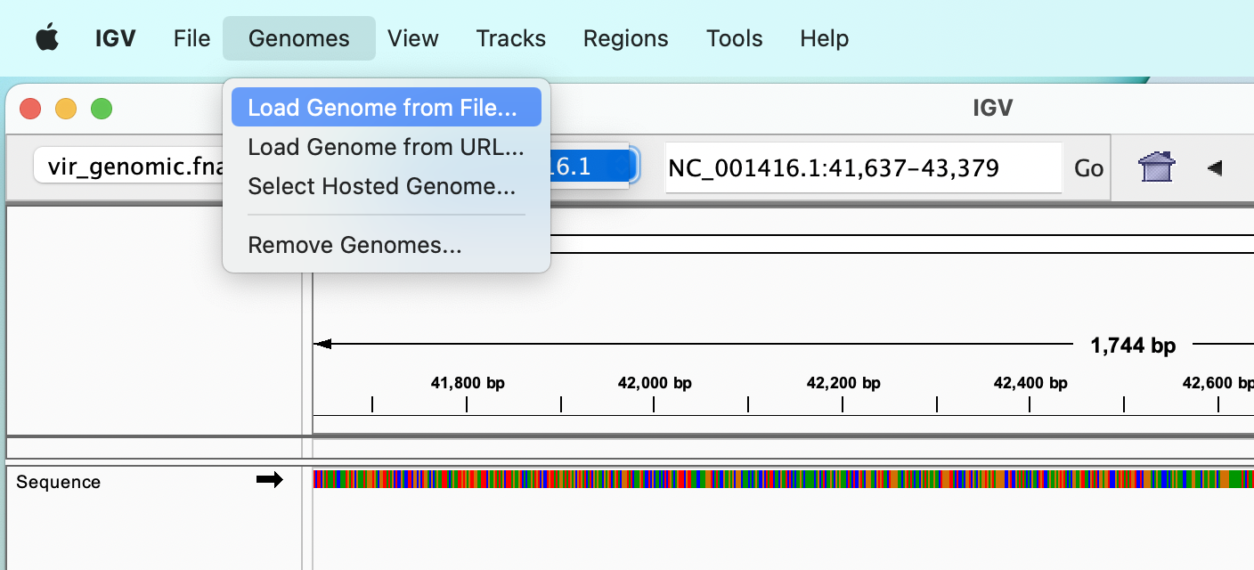 IGV load genome